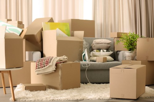 Packing support for a Westminster flat or house move