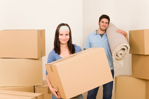 Ongoing accessibility support for Removal Van Westminster users